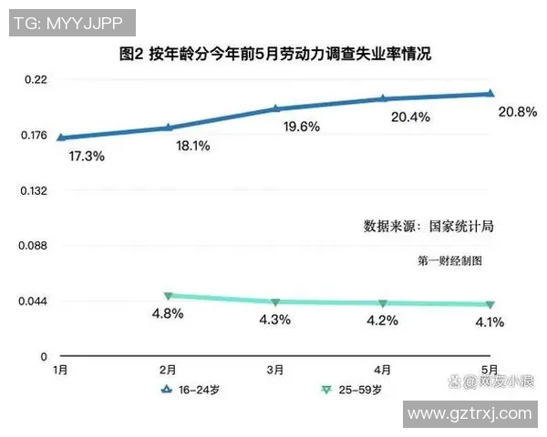 调查分析当前社会青年就业现状及其面临的主要挑战和解决对策 调查分析当前社会青年就业现状及其面临的主要挑战和解决对策