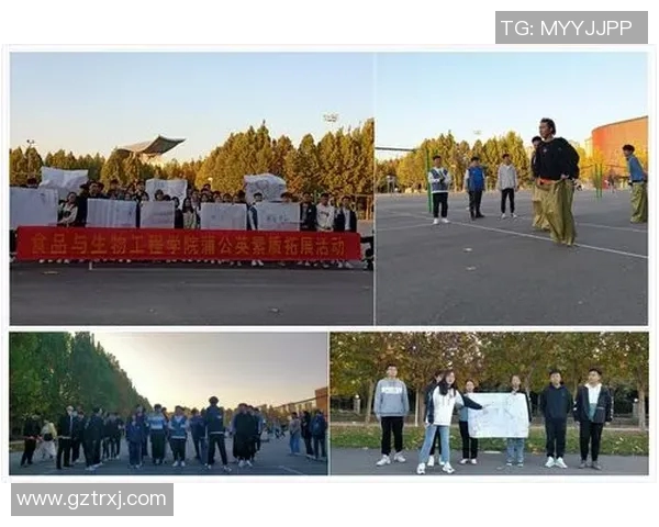 深圳飞盘队心理素质分析与提升策略探讨