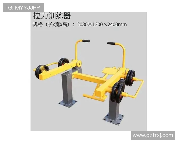 齐鲁力量崛起：山东健身器械品牌全解析